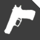 Protection Firearms